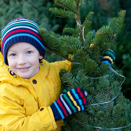 beautiful smiling little boy holding christmas tree