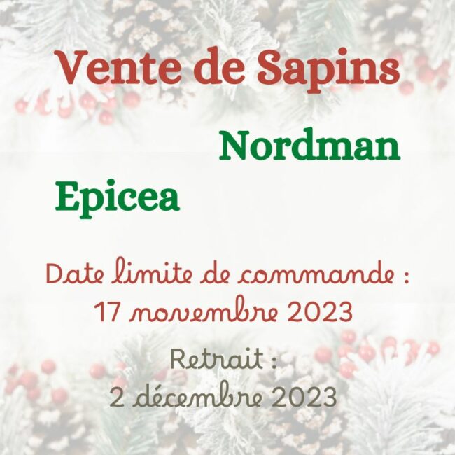 Sapins
