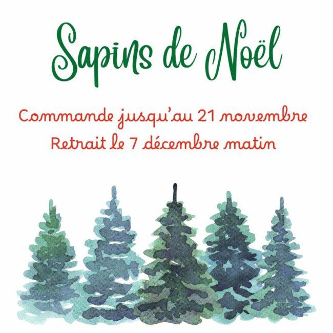 Sapins (1)